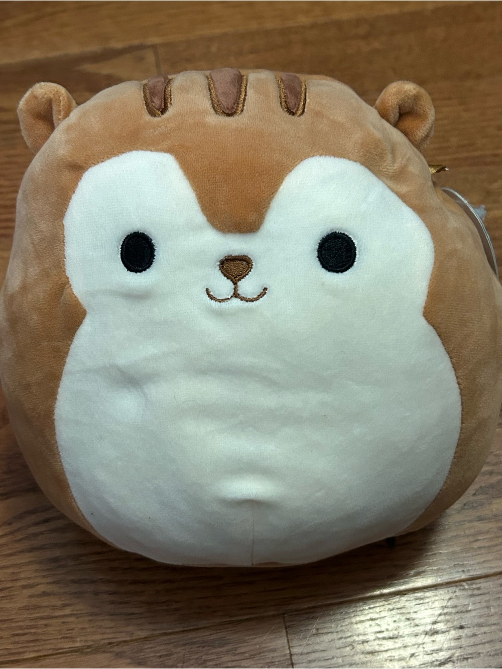 Squishmallows Tan and White Squirrel Plush—Sawyer